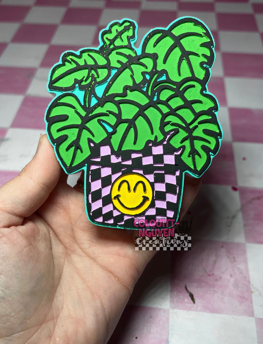Checkered Monstera
