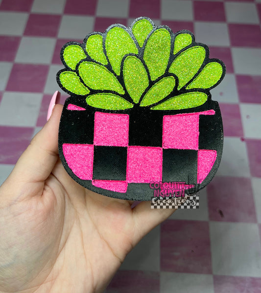 Checkered Round Succulent